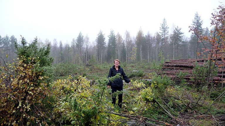 Sosiaali- ja terveystoimenjohtaja Liisa Niiranen
