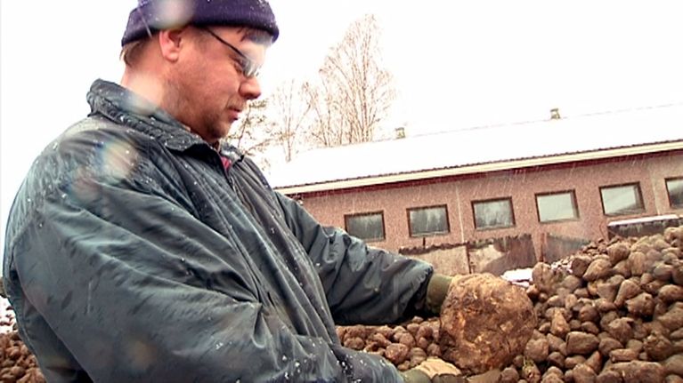 Maatalousyrittäjä Kimmo Ihalainen