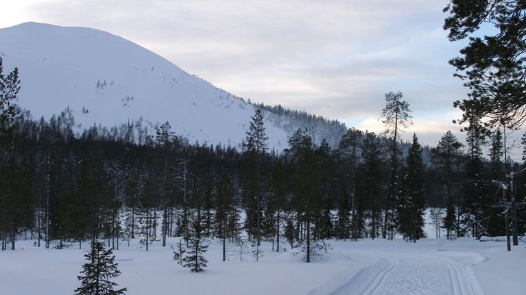 Ylläksen maisemaa.