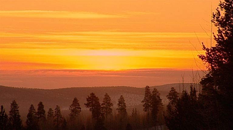 Tunturimaisema,  havumetsää auringonlaskussa Inarissa.