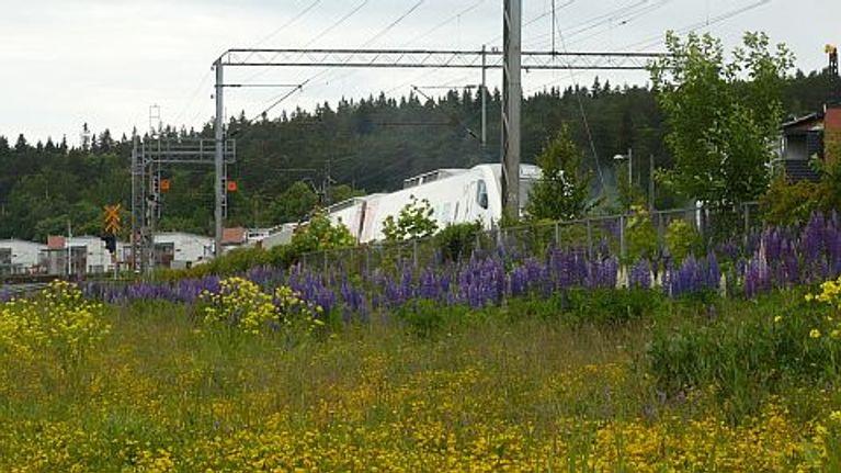Radanvarsi kukkii