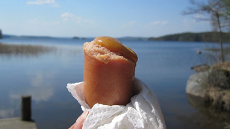 makkara ja sinappia