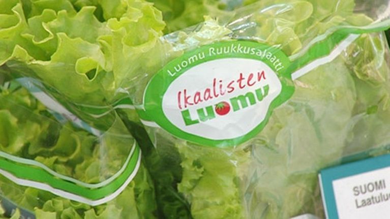 Suomalaista luomusalaattia kaupan tiskillä.