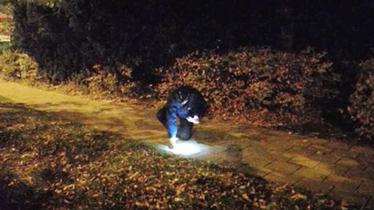 Poliisi etsii jalkakäytävältä todistusaineistoa ampumatapauksen jäljiltä Malmössä.