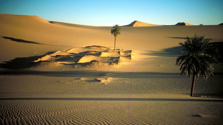 Saharan hiekka-aavikko