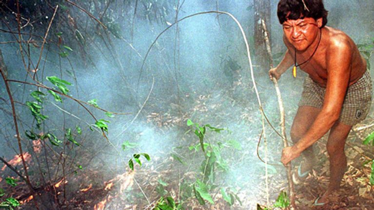 Intiaanipäällikkö Davi Yanomami sammuttaa maastopaloa