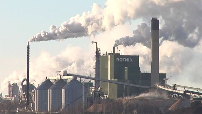 Metsä-Botnian Kaskisten tehdas