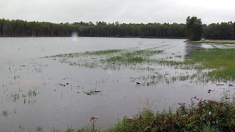 A watery field in the Siikajoki region. 