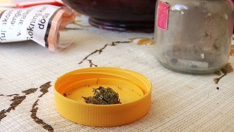 Lääkekannabista.