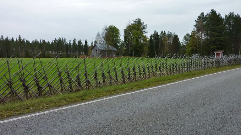 Heinäseipäistä tehty aita pellon reunalla