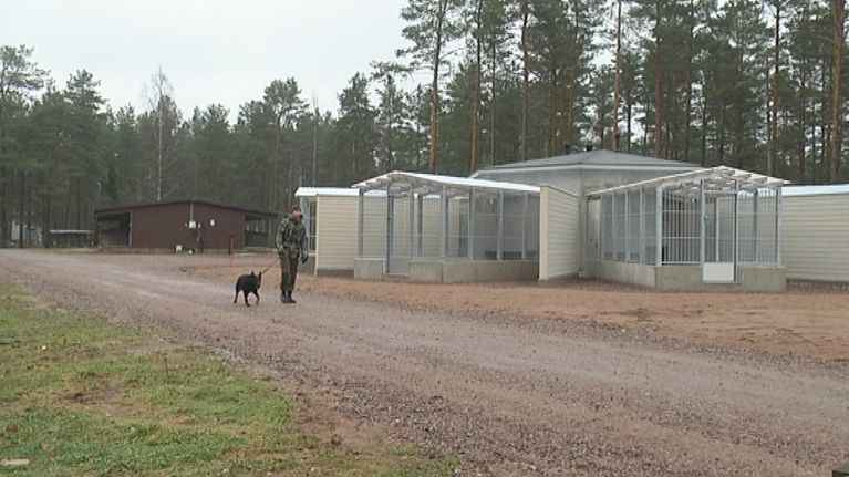 Sotakoirille on rakennettu 7 uutta rakennusta Kankaanpään Niinisalossa. Taustalla näkyy yksi vanhoista rakennuksista.