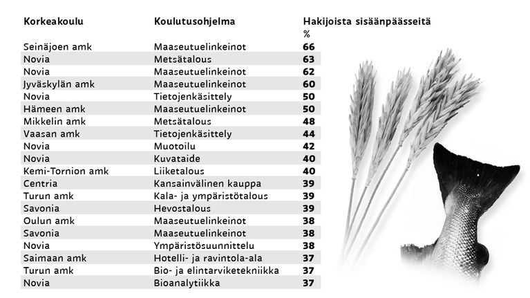 Ammattikorkeakoulut -grafiikka.