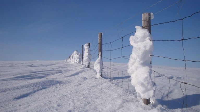 Suomen ja Norjan välinen raja-aita