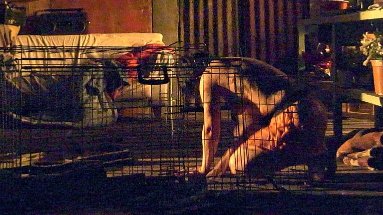 Kuva Tampereen teatterikesään valitusta esityksestä SZÉGYEN / DISGRACE