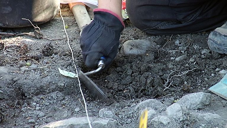 Pirkkalan arkeologiset kaivaukset