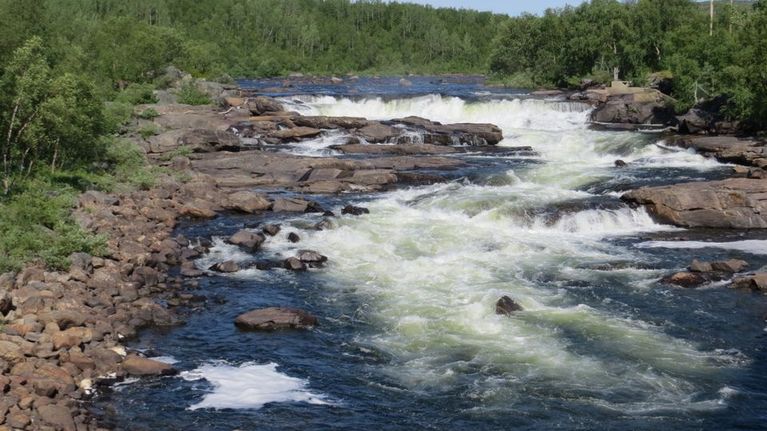 Näätämöjoen Kolttaköngäs Skoltefoss