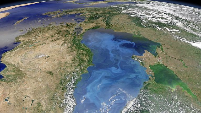 Nasan satelliittikuvassa näkyy kukkivan kasviplanktonin muodostamia lauttoja Mustanmeren pinnalla.