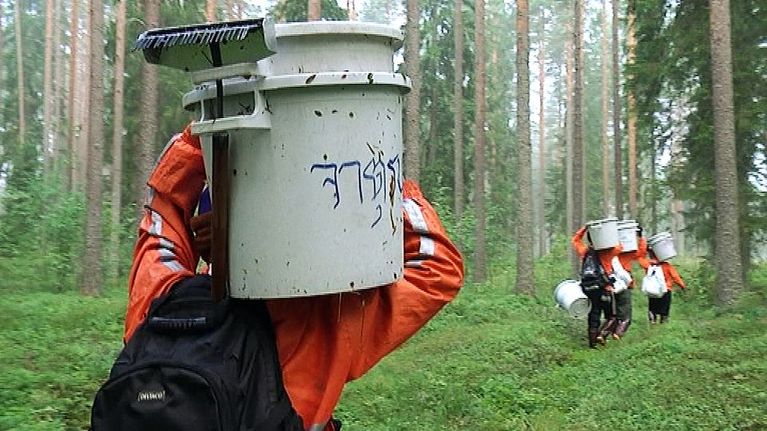 Thaimaalaiset marjanpoimijat kantavat marjasankoja metsässä.