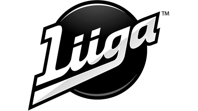 Liigan logo