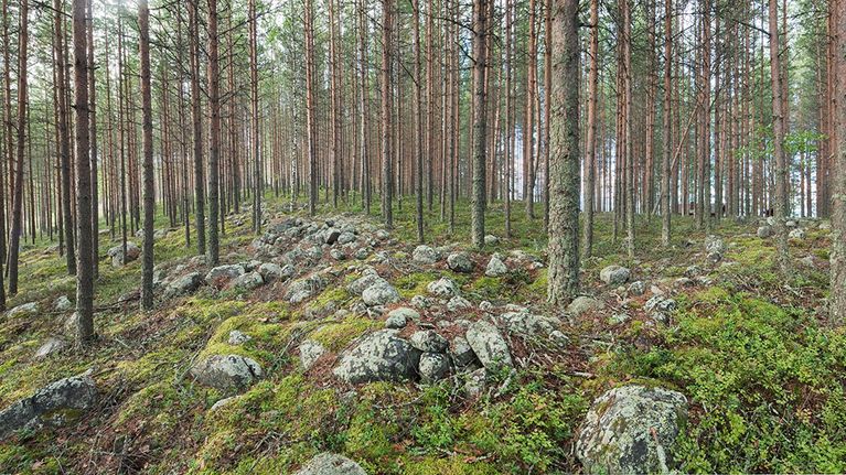 jätinkirkko