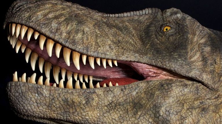 Dinosaurusnäyttely tulee Ouluun | Yle