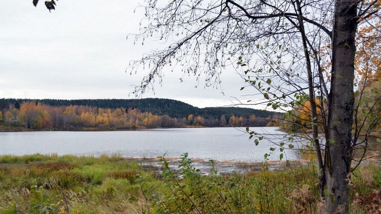Näkymä Neulaniemeen.