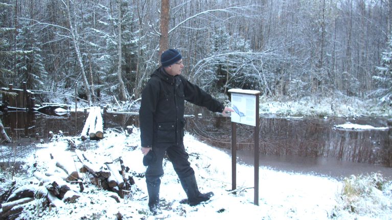 Rautasaostumaa ja ravinteita torjutaan patoamalla metsäojia, rakentamalla laskeutusaltaita ja ennallistamalla soita Jäälinjärven yläpuolella, kertoo Birger Ylisaukko-oja Kokko-ojan pintavalutusaltaalla.