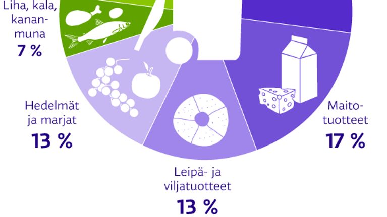 Suomalaisten hukkaan heittämä ruoka isona graafina.