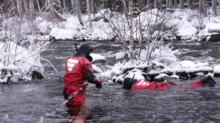 Riista- ja kalatalouden tutkijat snorklaavat Ala-Koitajoessa. 