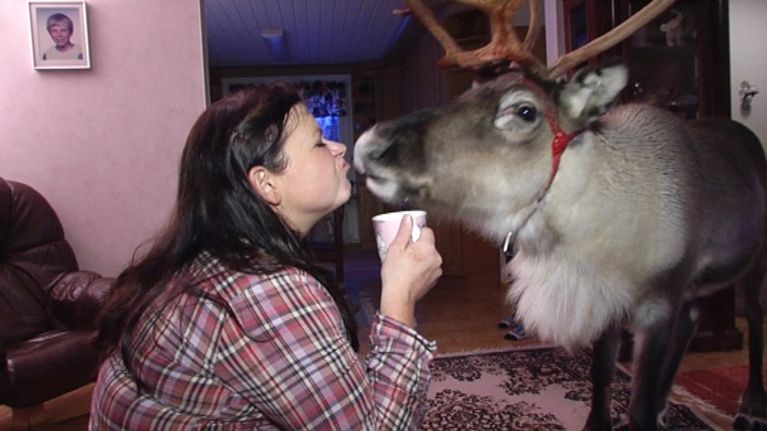 Aatu ja Pia pussaavat.
