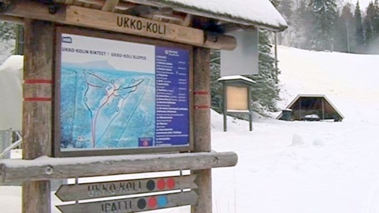 Kolin lumetetut rinteet kestävät sadetta | Yle