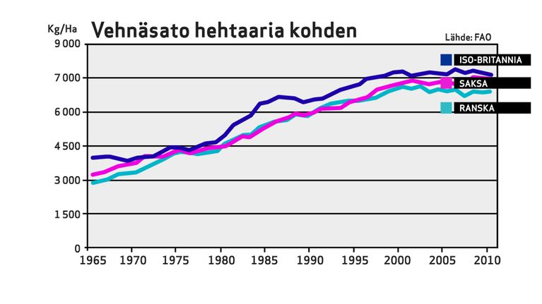Vehnäsato hehtaaria kohti vuodesta 1965 vuoteen 2010