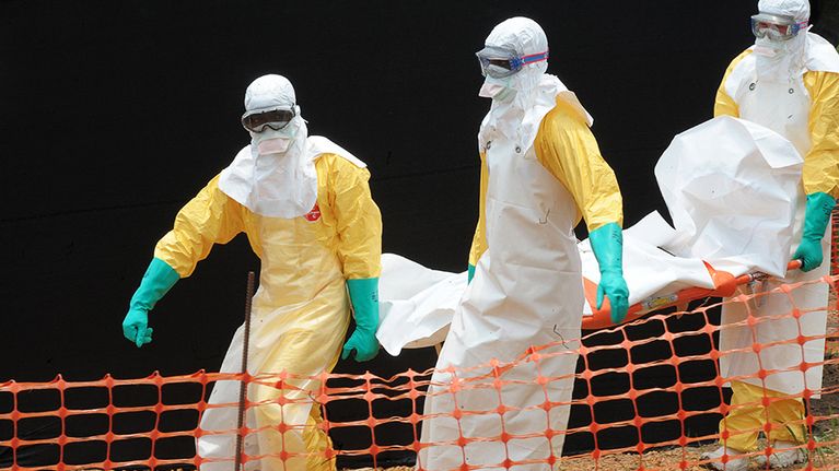 lks20140405 ebola guinea.jpg