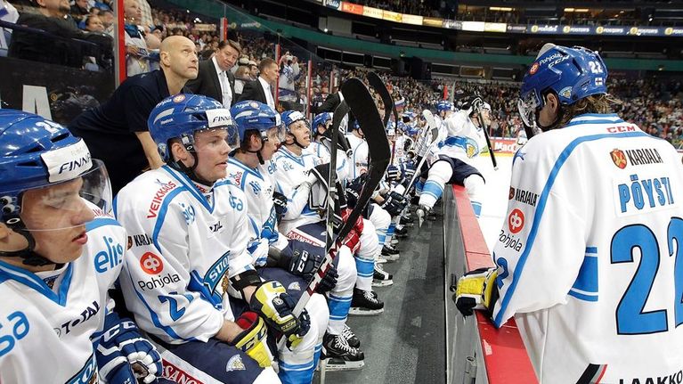 Leijonat
