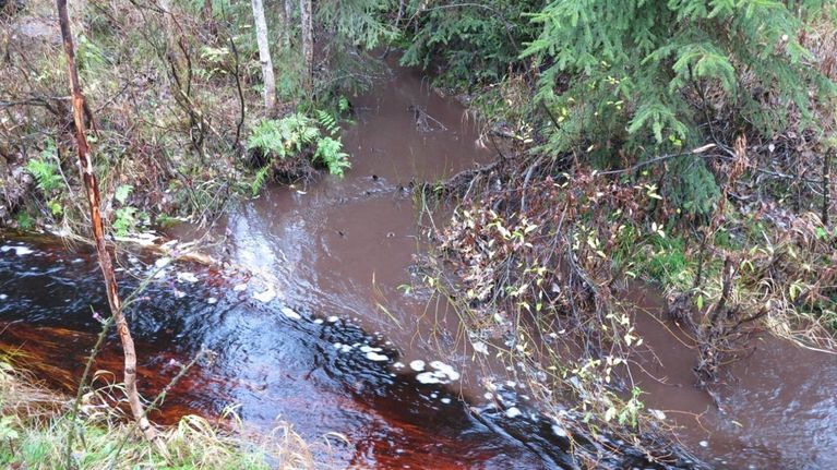 Turpeennostoalueelta tuleva samea vesi (ylhäältä) yhdistyy metsäojasta valuvaan tummaan veteen (vasemmalta) tulvapiikin jälkeen Multialla.