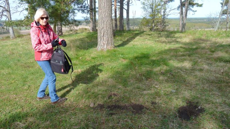Eeva-Liisa Schulz Museovirastosta tarkastuskäynnillä Hakoisten Linnavuorella 