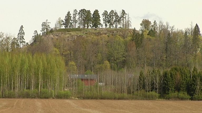Hakoisten Linnavuori Janakkalassa