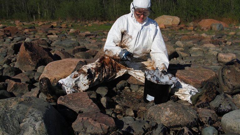 WWF:n vapaaehtoinen puhdistaa rantaa. 