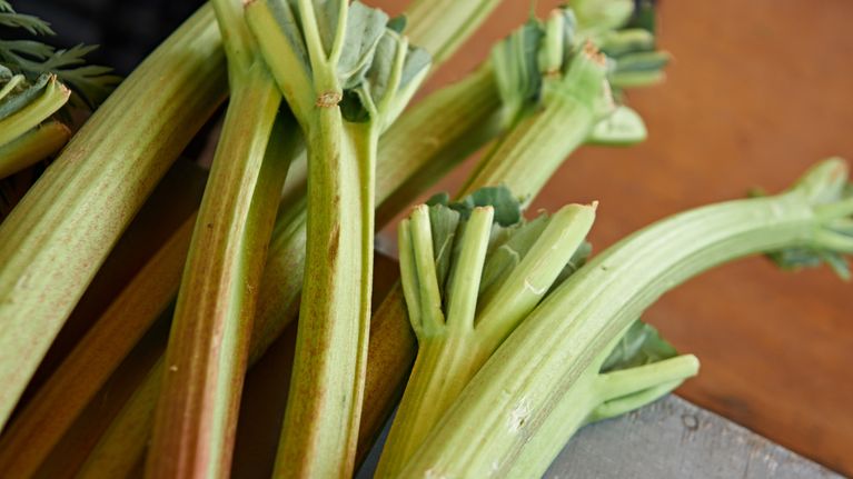 Stalks of rhubarb.
