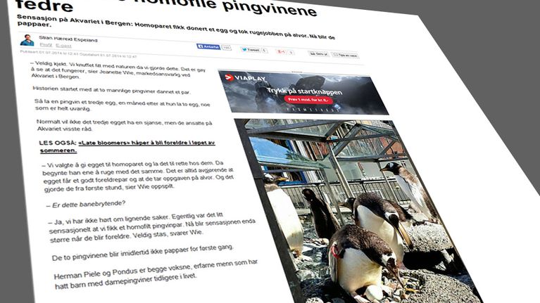 Kuvakaappaus Bergens Avisenin nettisivuilta jutusta, joka käisttelee aihetta. 