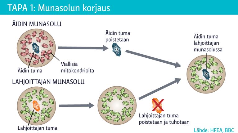 grafiikka