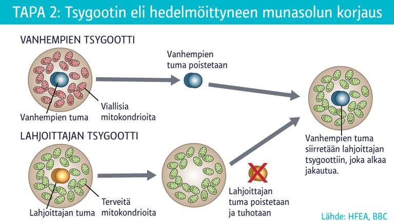 grafiikka