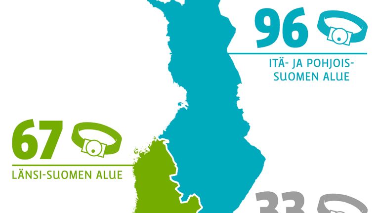Valvontarangaistuksen aloittaneet  2013 -grafiikka
