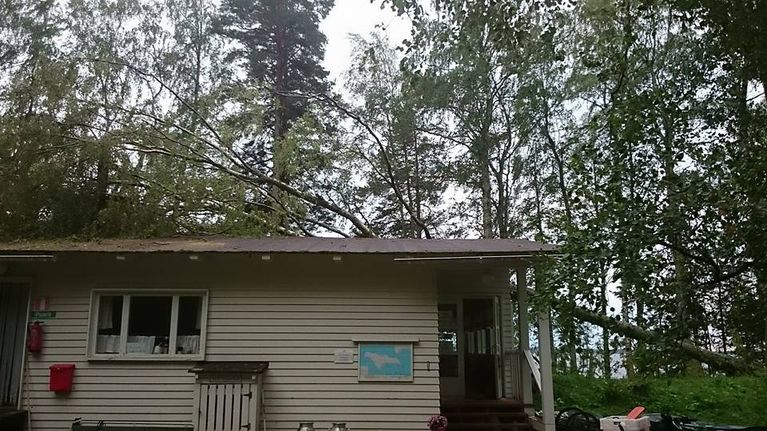 Ärjänsaaren kahvilarakennuksen päälle kaatunut puu.