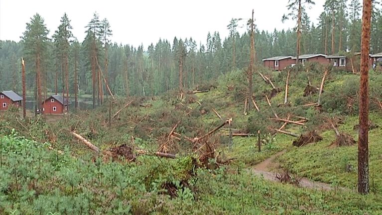 Myrsky kaatoi parisataa puuta Saarijärvellä Ahvenlammen leirintäalueella.