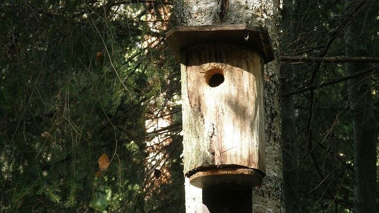 vanha sorvattu linnunpönttö