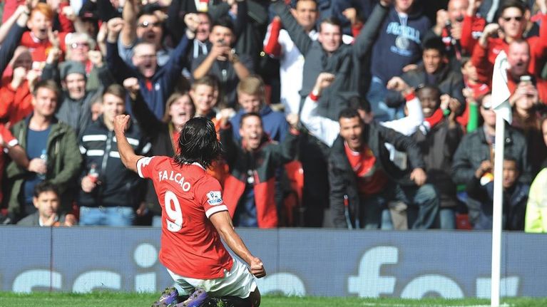 Falcao juhlii maalia.