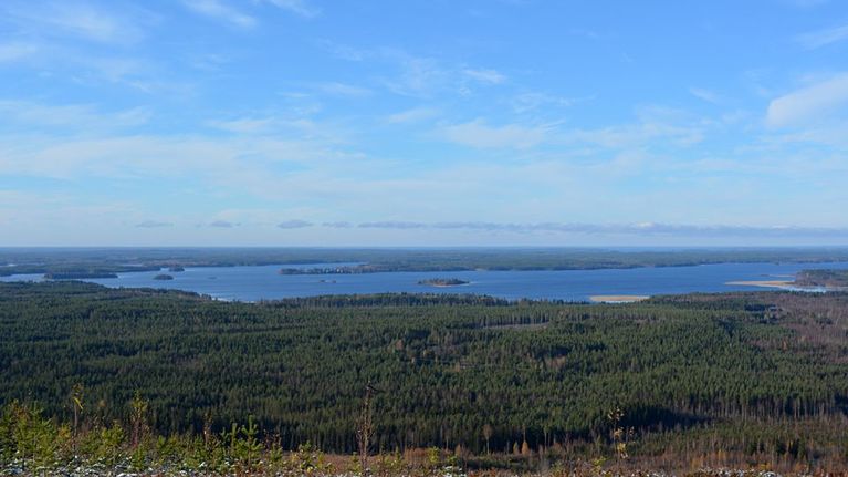 Kivesvaaran uusi retkeilyreitti kiertää maastossa luontoa kunnioittaen.