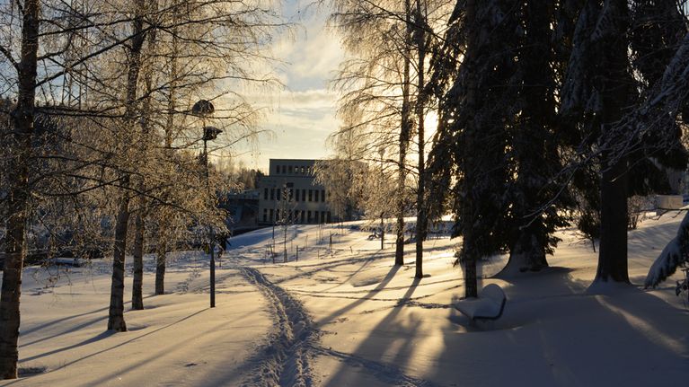 Lumeen tallattu polku puistossa