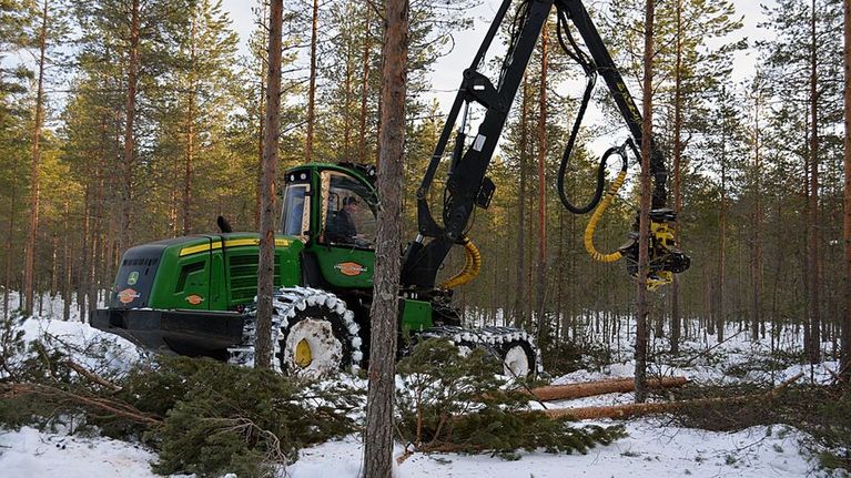 Monitoimikone metsänhoitotöissä.